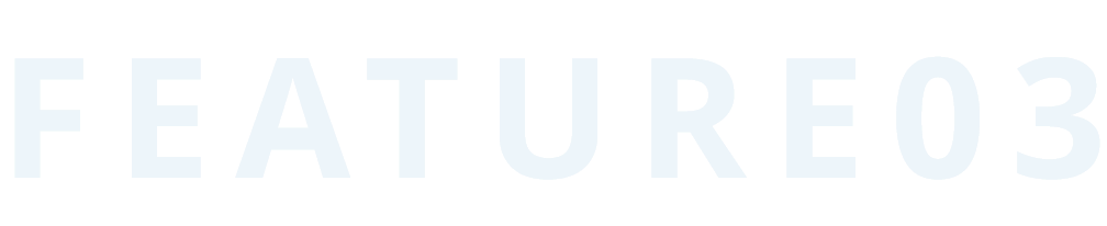 Feature03
